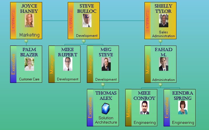 Sample - Normal Organization Chart